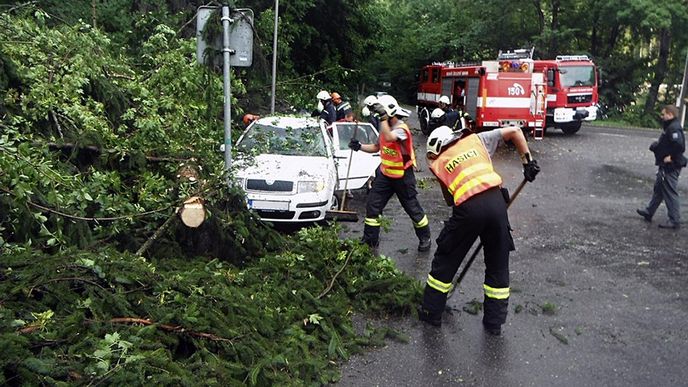 Odstraňování nálsedků noční bouře Odstraňování nálsedků noční bouře