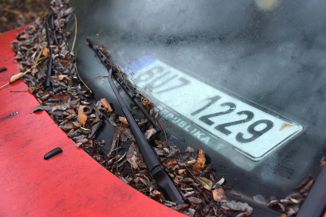 Že je auto viditelně už měsíce mimo provoz, dokládá nejen naváté listí, ale také za oknem pohozené registrační tabulky