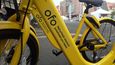 ofo