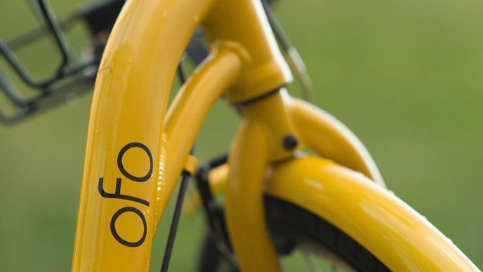 Ofo