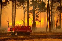 Nejhorší požár v dějinách Austrálie: 131 mrtvých!
