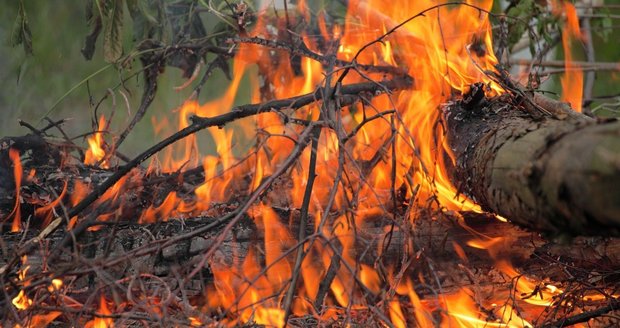 Bavorský ministr zemědělství zapálil les: Pálil neopatrně zahradní odpad