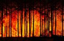 Hořící lesje hrůzné divadlo