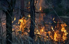 Čarodějnické ohně lidé neuhlídali: Lesy v plamenech!