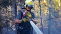 Ve Skřipově na Opavsku hořel les, škoda je za tři miliony.