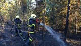 Student se bavil zapalováním trávy: Za výjezdy teď musí hasičům zaplatit 100 tisíc