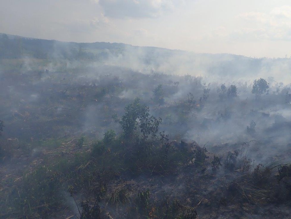 S požárem lesa na okraji Bruntálu bojovali hasiči pět hodin. Pomáhal jim i vrtulník s bambi vakem, který pojme až 800 litrů vody.