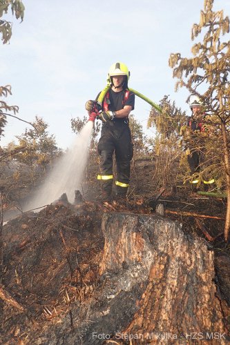 S požárem lesa na okraji Bruntálu bojovali hasiči pět hodin. Pomáhal jim i vrtulník s bambi vakem, který pojme až 800 litrů vody.