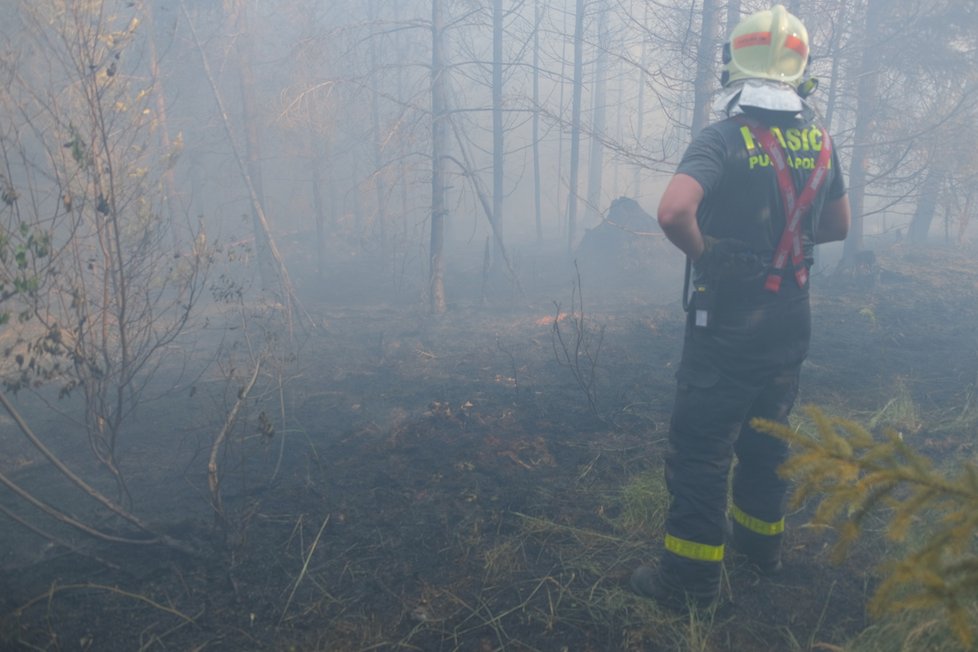 Ve Skřipově na Opavsku hořel les, škoda je za tři miliony.