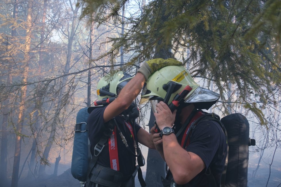 Ve Skřipově na Opavsku hořel les, škoda je za tři miliony.