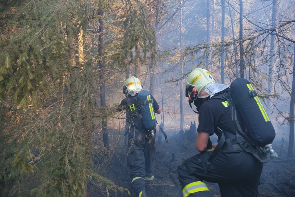 Ve Skřipově na Opavsku hořel les, škoda je za tři miliony.