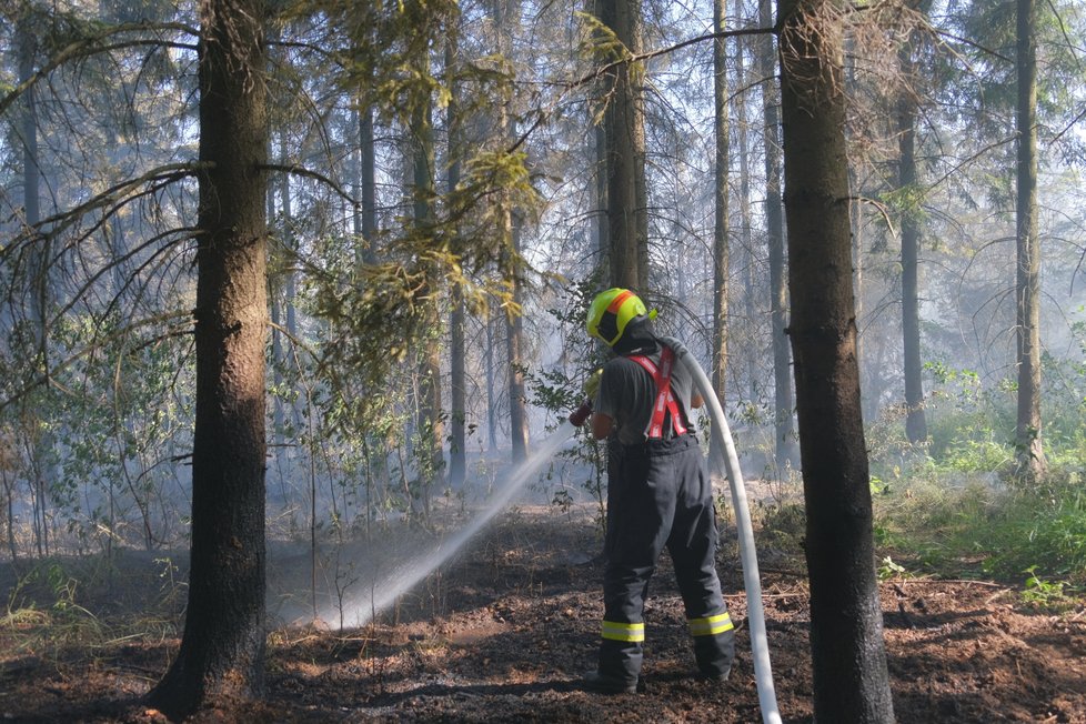 Ve Skřipově na Opavsku hořel les, škoda je za tři miliony.