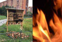 Žhář »upálil« hmyz zaživa: Komu v Praze 8 vadí hmyzí hotely?
