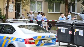 Čtrnáctiletá dívka v Praze chtěla skočit z okna: Policista ji zachránil na poslední chvíli (ilustrační foto)