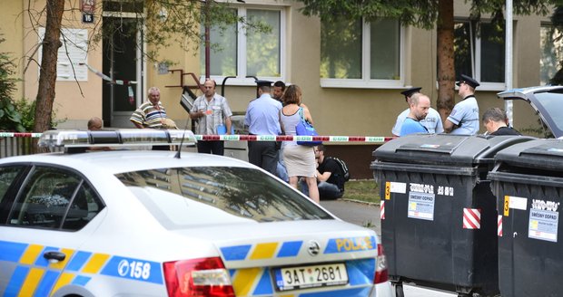 Čtrnáctiletá dívka v Praze chtěla skočit z okna: Policista ji zachránil na poslední chvíli (ilustrační foto)