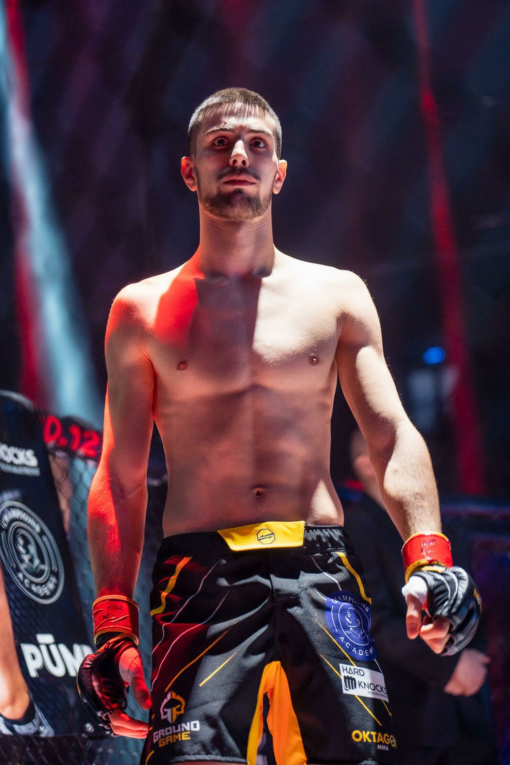 Profesionální MMA zápasník Mate Sanikidze