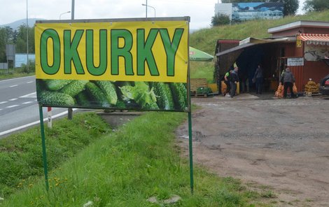 Ještě v předminulém týdnu při vjezdu do obce Kudowa Zdroj visel nápis lákající na nákup borůvek, který nedávno vystřídal plakát upozorňující na nabídku okurek.