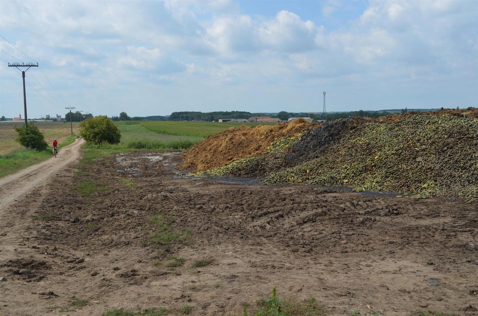 Německá firma vyvezla desítky metráků přerostlých okurek na hnojiště nedaleko statku v Brodě nad Dyjí.