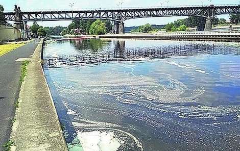 Společnost Mondi Štětí do řeky Labe vypustila odpadní vodu i s ropnou látkou.