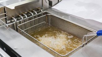 V Bohumíně vznikne závod na výrobu unikátních bioplastů z fritovacího oleje