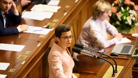 Olga Richterová (Piráti) ve Sněmovně (5.11.2025)