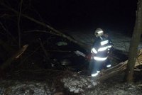 Opilý cizinec (52) boural na Tachovsku: Aby vyprostili auto, museli hasiči pokácet dva stromy