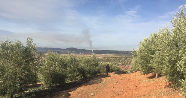 Olivový háj Lozano Červenka se nachází ve španělské Andalusii, rodinná farma vyrábí spoustu produktů.
