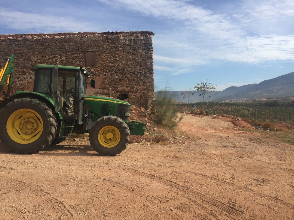 Olivový háj Lozano Červenka se nachází ve španělské Andalusii, rodinná farma vyrábí spoustu produktů.