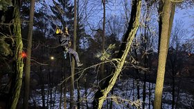 Olomoucká zoo zažila kvůli uprchlému samci pandy červené neobvyklý zásah hasičů.