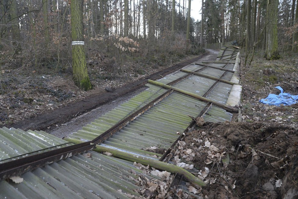 Orkán Eberhard poškodil v ZOO Olomouc několik výběhů a ubikací. Na útěku je stádo jelenů a daňků (11.3. 2019)