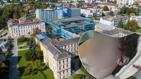 Na Olomoucku řádí agresivní gang
