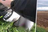 Zfetovaný motorkář na Olomoucku policistům neujel: Se strojem vjel do pole a spadl