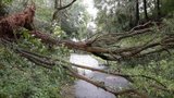 Tisíce zlámaných stromů, lidé bez proudu: Na Šumavě do lesa nechoďte, varuje národní park