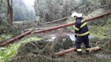 Bouřky ničily auta a lidem vzaly elektřinu. Udeří znovu takřka po celém Česku