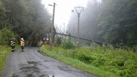 Hasiči v Olomouckém kraji vyjížděli kvůli bouřkám k popadaným stromům.