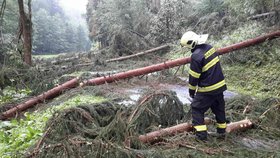 Hasiči v Olomouckém kraji vyjížděli kvůli bouřkám k popadaným stromům.