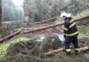 Hasiči v Olomouckém kraji vyjížděli kvůli bouřkám k popadaným stromům.