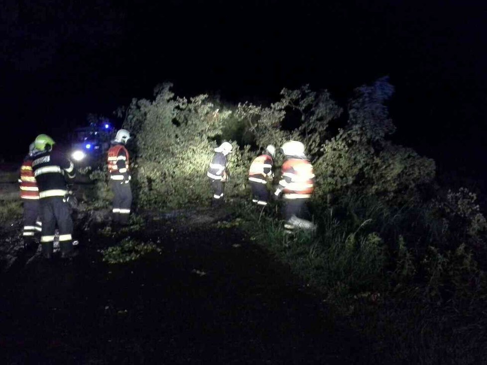 Hasiči v Olomouckém kraji vyjížděli kvůli bouřkám k popadaným stromům.