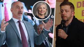 Rebelové v koalici.