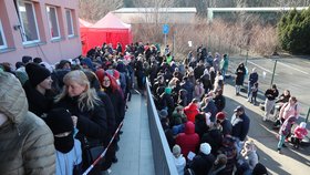 Na cizinecké policii v Olšanské ulici na Žižkově se kvůli registraci přijíždějících uprchlíků tvoří dlouhé fronty. Policisté je v případě potřeby odbavují i po konci pracovní doby. (1. březen 2022)