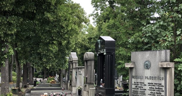 Hřbitovy jako místo trávení volného času? Nový manuál je chce více otevřít lidem 