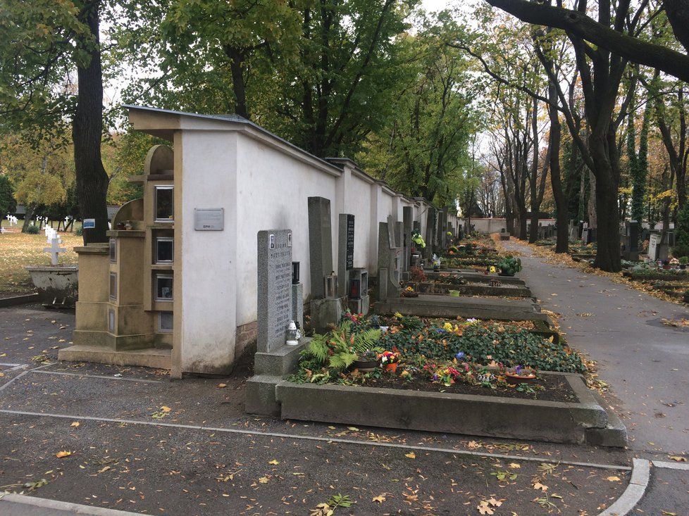 Zeď s kolumbáriem označuje místo, kam sahaly Olšanské hřbitovy před rokem 1917. Za zdí se rozprostírá vojenské pohřebiště.