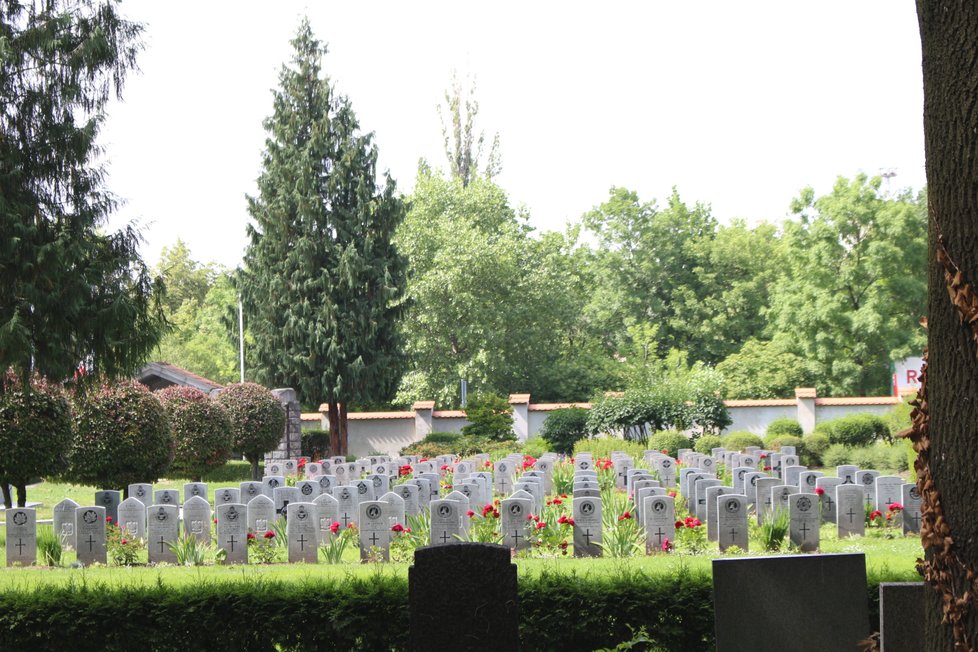 Největší část plochy vojenských pohřebišť na Olšanských hřbitovech představují pomníčky a hroby padlých z druhé světové války.