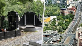 Olšany jsou historicky starší, než žižkov. Dnes jsou však jeho menší součástí. Zatímco v minulosti při nich stávaly dva prosperující dvory, dnes zde nalezneme největší pražské pohřebiště.