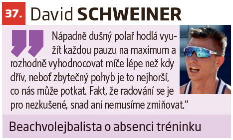 David Schweiner