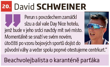 David Schweiner