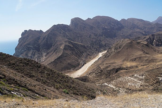 Tady v horách na jihu Ománu na hranicích s Jemenem roste strom kadidlovník Tady v horách na jihu Ománu na hranicích s Jemenem roste strom kadidlovník