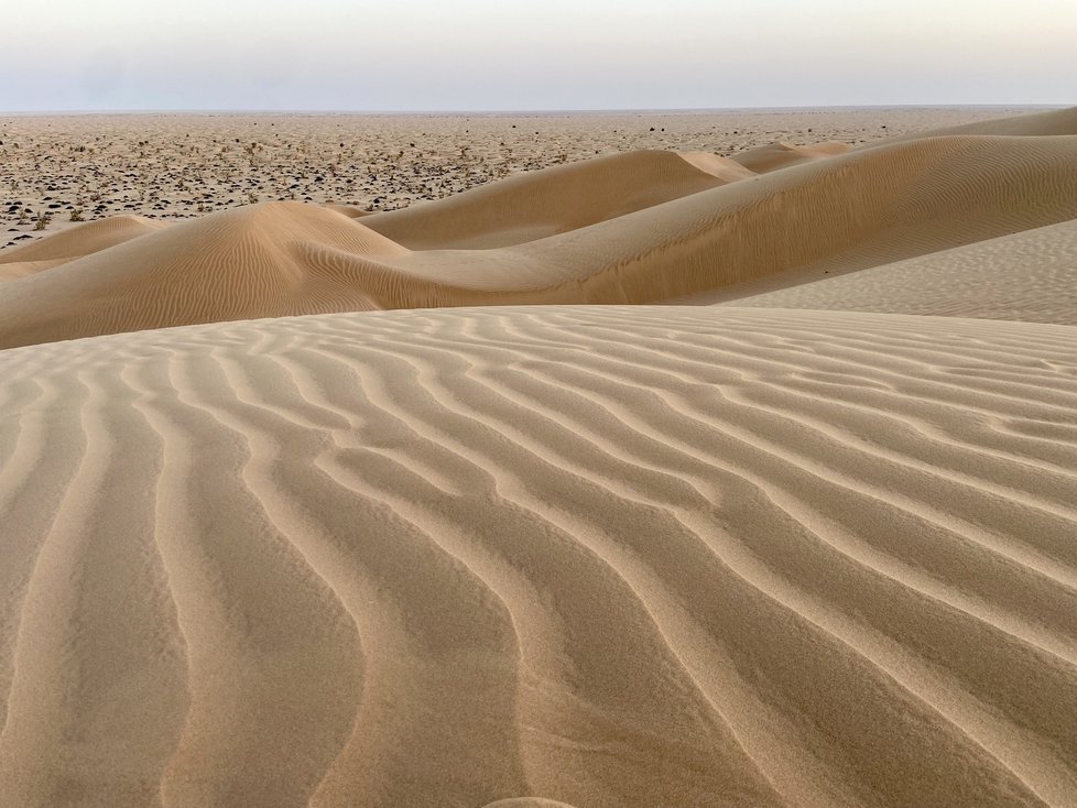Písečné duny na kraji pouště