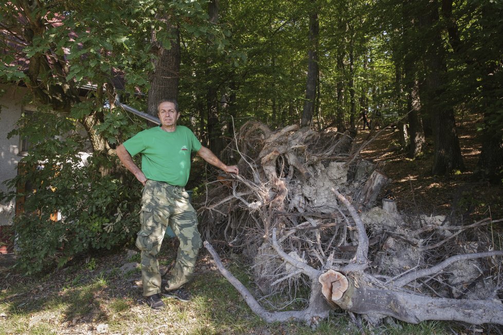 Lubomír Dědič před hromadou pařezů blokujících jednu z lesních cest.