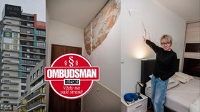 Ivě v bytě praskají omítky, zdivo padá v kusech: Je to váš problém, řeklo SVJ!